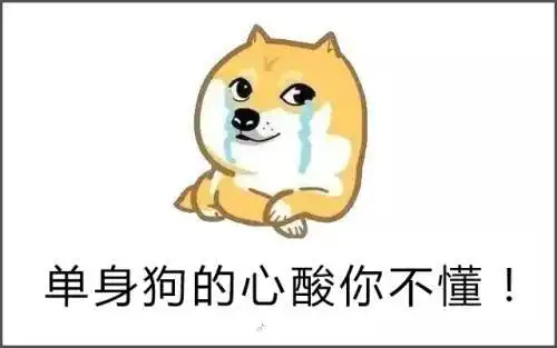 520民政局爆满,有人半夜去排队,单身狗受到一万点暴击
