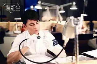 一粒红尘曝尘世流年海报吴奇隆专业技能培训过
