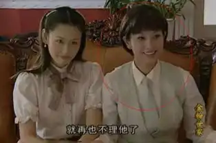 揭金粉世家八位小姐少奶奶现状,董洁离婚,舒畅半红不黑
