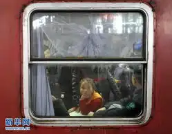 我是肿么回来的春运车窗表情