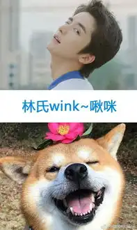 你好旧时光解锁一波萌炸的忠犬林杨,友情提醒保护好小心脏哦
