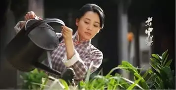 孙俪拒绝做少女别拿少女感侮辱中年女性了

