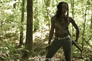 行尸走肉第四季walkingdeadseason4verycd电驴大全
