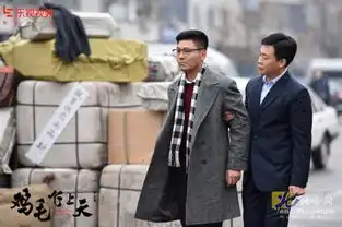 乐视鸡毛遭假货风波张译殷桃陷信任危机
