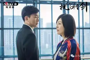 8月3日2030,以宁波中院为主要取景地的电视剧执行利剑将在央视八套开播内含最新片花
