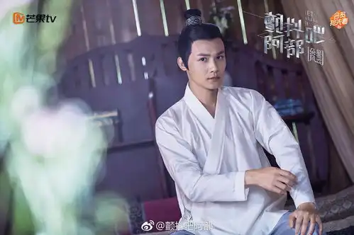 颤抖吧阿部之朵星风云
