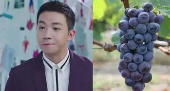 倾城时光俞灏明孟瑞,你们在剧中的西装,是向张绍刚借的吗