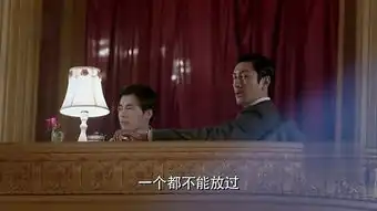 麻雀毕忠良剧照
