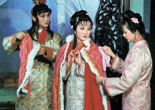 87红楼梦他对史延芹说,不行,不能这样,这样就完蛋了
