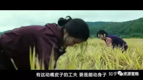 金泰梨和桥本爱不同风格的治愈系每天一部好电影小森林