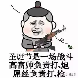 圣诞节其实是生蛋节
