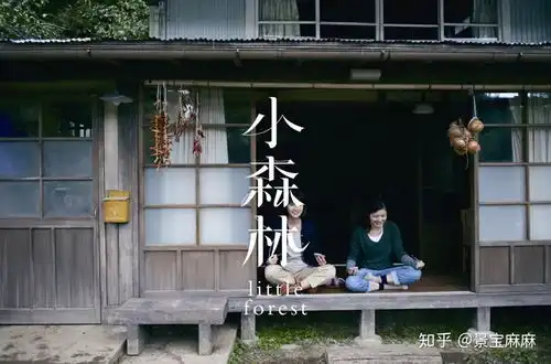 6部适合孕期观看的电影温暖治愈你的心
