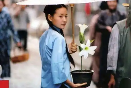 董洁是如何在小红书翻红的
