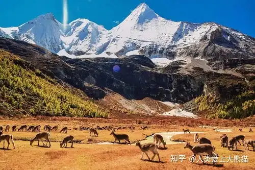 去稻城亚丁几月去最好
