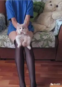 搞笑图片不怕神一样的对手,就怕猪一样的队友.
