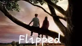 flipped怦然心动配音自剪版故事线
