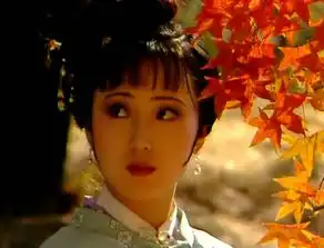 红楼梦1987年大陆央视版电视剧搜狗百科

