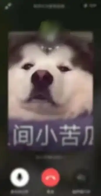 微信社交过剩了吗