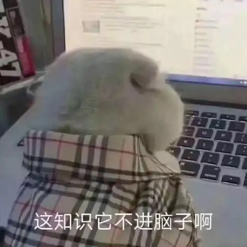 全国370多万人上战场大批人昨晚没睡着包括气氛组
