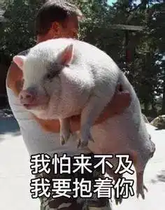 李小璐2米宽的双眼皮竟然变窄了这样的网红脸逆袭你见过吗