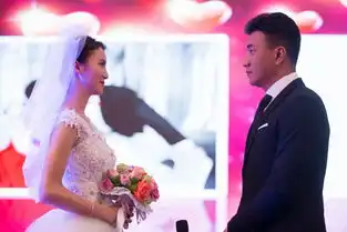 胡军遇上小情人一场跟爸爸因爱而生的战争

