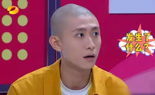 无预告无剧照,张一山版鹿鼎记悄悄登陆央视8套裸播

