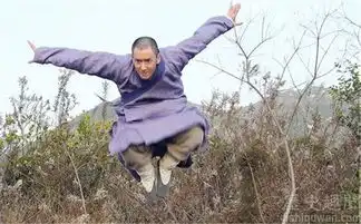 天龙八部虚竹内力究竟有多高
