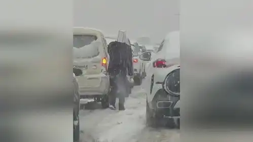 暴雪堵车3小时大哥纸袋套头下车查看情况