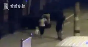 与男友吵架后独自离开女子被陌生男拖进小树林实施强...
