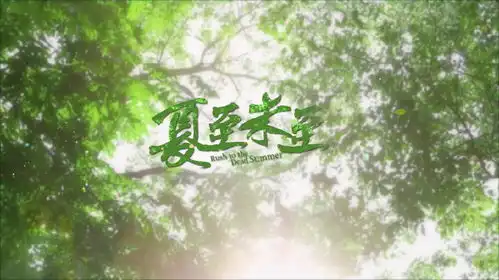 夏至未至2或开拍,郑爽不再出演,胡一天化身男主
