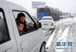 新年伊始南方多省市遭遇暴雪袭击