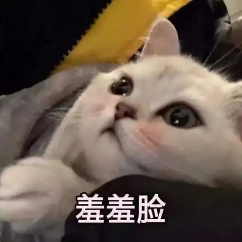 笑话叔叔,你都这样了,还卖艺挣钱