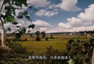 不一样的心动从不同的角度看怦然心动