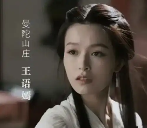 新天龙八部开播,文咏珊版王语嫣恬静清冷,马夫人有韵味
