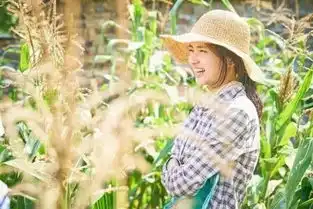 小森林剧照李子柒