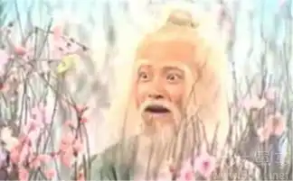 射雕英雄传剧照洪七公