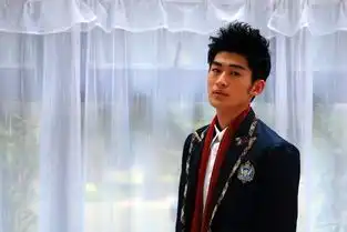 一起来看流星雨2009年郑爽主演电视搜狗百科
