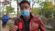 实拍落叶不扫的上海马路有多美像秋天的童话一样
