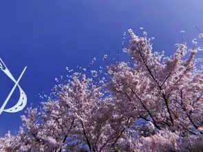 震惊这个春天大家都不酸了
