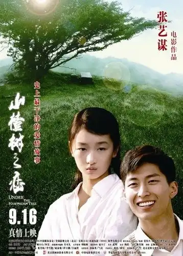 山楂树点映催泪故事被字幕切割过多