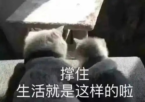 36条幽默诙谐的朋友圈文案处对象冲我来,找别人算什么本事