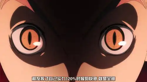 排球少年第二季
