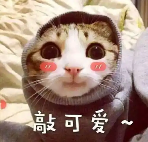 感恩表情包图片大全集单