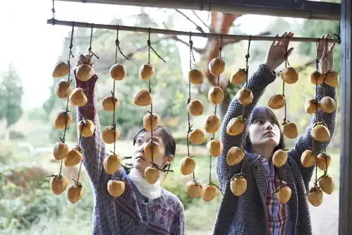 乡村和海边真的有我们向往的生活吗