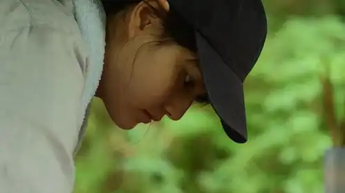 小森林剧照夏秋