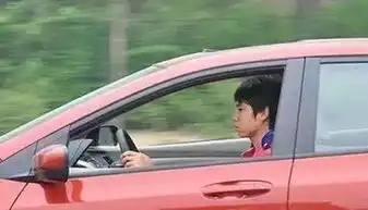 易车网湖北加泰海马