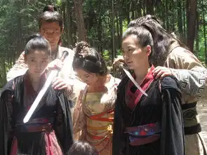 大唐女将樊梨花剧照
