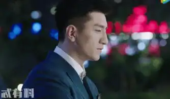 你和我的倾城时光林浅订婚林莫臣反对厉致诚的这个承诺成为关键
