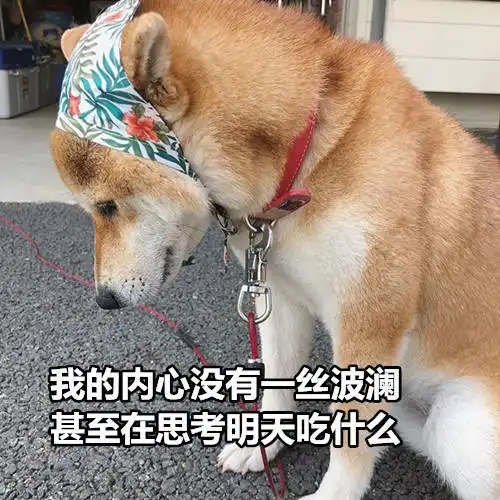单身狗七夕节表情包表白