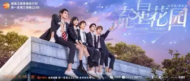 综合剧本主创平台等因素,新流星花园已成暑期档爆款预定
